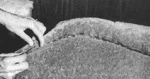 Push fabric over teeth.